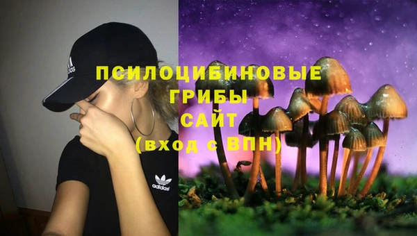 MDMA Premium VHQ Аркадак