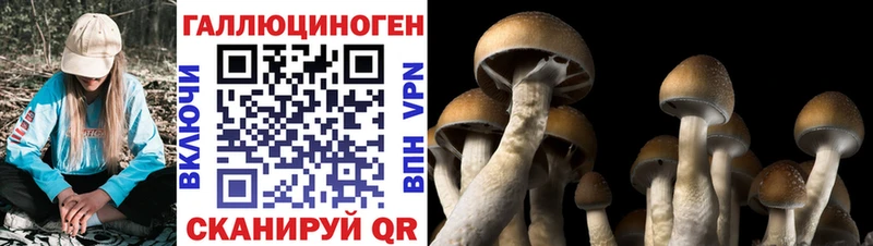 как найти закладки  Баймак  Псилоцибиновые грибы мухоморы 